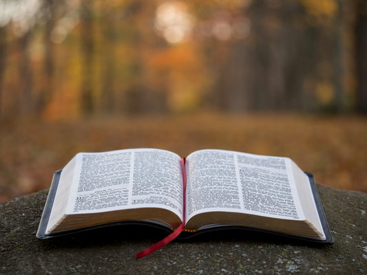 An open Bible rests on a stone surface outdoors, with the background blurred and filled with autumn colors of orange, yellow, and brown. A red ribbon bookmark is visible, and the scene evokes a peaceful and reflective mood.